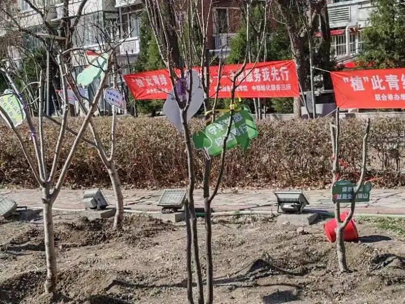 2024411221951.jpg 2024411221951.jpg